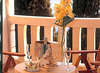 Grand Villa Argentina 